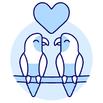 Love Parrots Illustration from UX Duotone Set