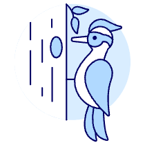 Woodpecker Illustration from UX Duotone Set