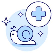 Skin Snail Illustration from UX Duotone Set