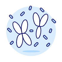 Chromosome Illustration from UX Duotone Set