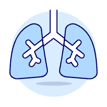 Lungs Illustration from UX Duotone Set