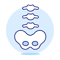 Spine Illustration from UX Duotone Set