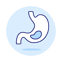 Stomach 1 Illustration from UX Duotone Set