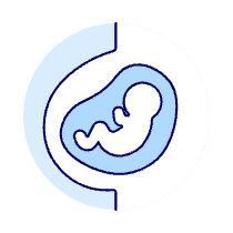 Pregnancy 1 Illustration from UX Duotone Set