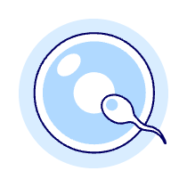 Pregnancy Sperms 2 Illustration from UX Duotone Set