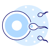 Pregnancy Sperms 4 Illustration from UX Duotone Set