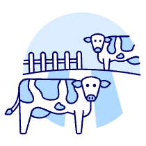 Cow Ranch Illustration from UX Duotone Set