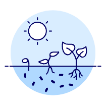 Growth Stage Illustration from UX Duotone Set