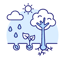 Growth System Illustration from UX Duotone Set