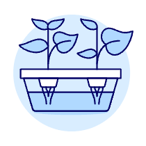 Hydroponic Box Illustration from UX Duotone Set