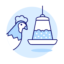 Chicken Eating Illustration from UX Duotone Set