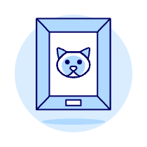 Cat Photo Illustration from UX Duotone Set