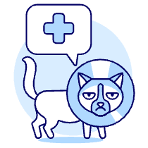 Cat Visit Vet Illustration from UX Duotone Set