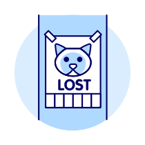 Missing Cat Illustration from UX Duotone Set