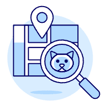 Finding Cat Illustration from UX Duotone Set