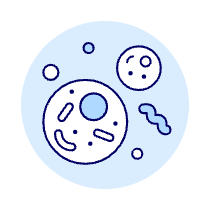 Cell Illustration from UX Duotone Set