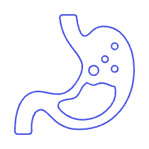Stomach 2 Illustration from UX Line Set