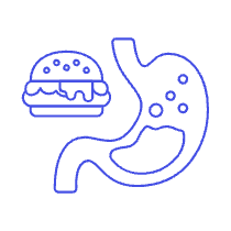 Stomach 3 Illustration from UX Line Set