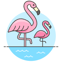 Flamingos Illustration from UX Colors Set