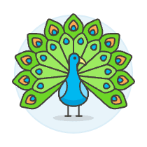 Peacock Illustration from UX Colors Set