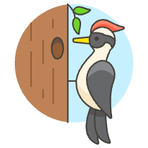Woodpecker Illustration from UX Colors Set
