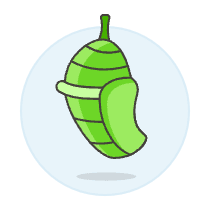 Pupa Illustration from UX Colors Set