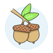 Oaknuts Illustration from UX Colors Set