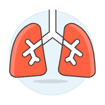 Lungs Illustration from UX Colors Set