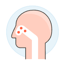Sinuses 1 Illustration from UX Colors Set