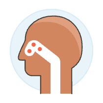 Sinuses 2 Illustration from UX Colors Set