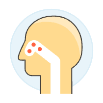 Sinuses 3 Illustration from UX Colors Set