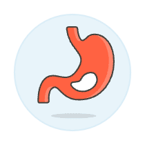 Stomach 1 Illustration from UX Colors Set