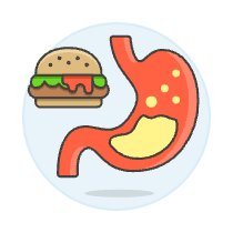 Stomach 3 Illustration from UX Colors Set