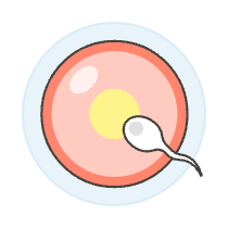 Pregnancy Sperms 2 Illustration from UX Colors Set
