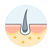 Skin Hair 1 Illustration from UX Colors Set