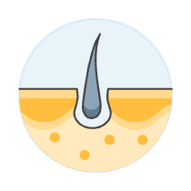 Skin Hair 3 Illustration from UX Colors Set
