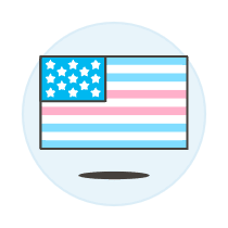 Transgender Flag 4 Illustration from UX Colors Set