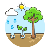 Growth System Illustration from UX Colors Set