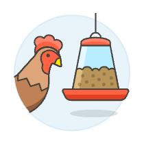 Chicken Eating Illustration from UX Colors Set