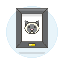 Cat Photo Illustration from UX Colors Set