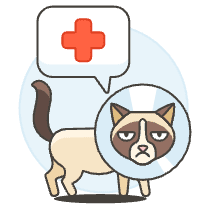 Cat Visit Vet Illustration from UX Colors Set