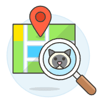 Finding Cat Illustration from UX Colors Set