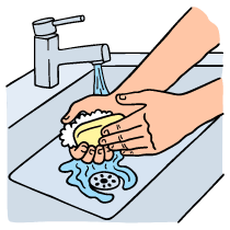 Wash Hands Illustration from Bruxelles Set