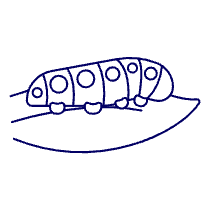 Carterpillar Illustration from UX Line Set