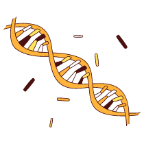 Dna Illustration from Lagos Set