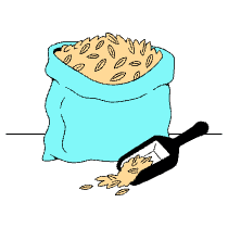 Grains Rice Illustration from London Set