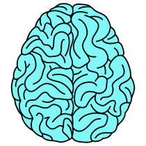 Brain Illustration from London Set