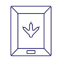 Bird Footpriny Illustration from UX Line Set