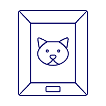 Cat Photo Illustration from UX Line Set