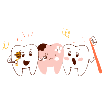 Teeth Illustration from Manchester Set